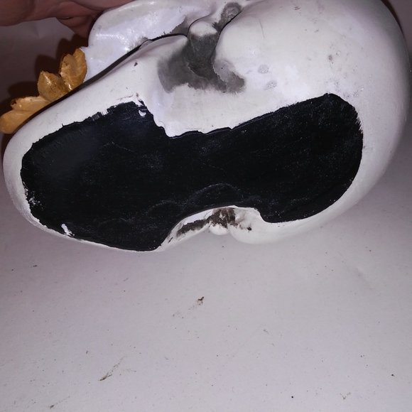 Halloween Decoration Skull Gold Bugs White Creepy Skeleton Head Home Decor Brand - Picture 12 of 13